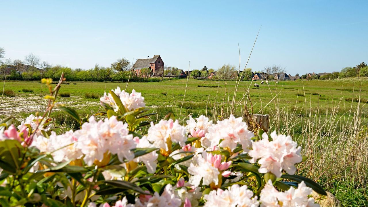 Gartenblick Gartenblick